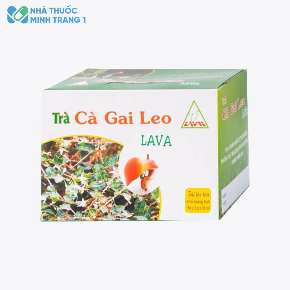 Hình ảnh hộp sản phẩm Trà Cà gai leo Lava